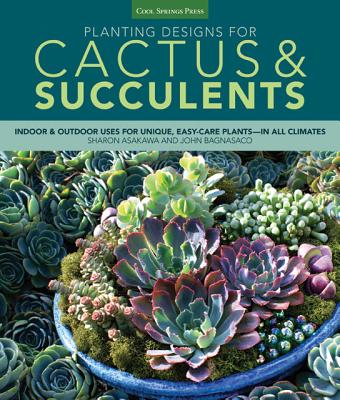 Planting Designs For Cactus & Succulents