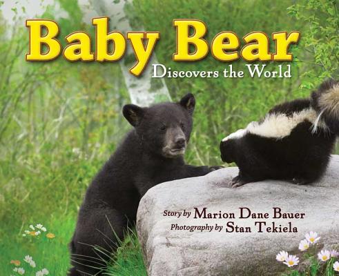 Image for Baby Bear Discovers the World (Wildlife Picture Books) Baby Bear Discovers the World (Wildlife Picture Books)