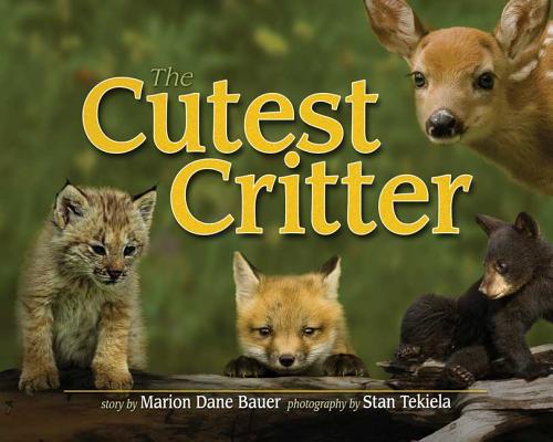 Image for Cutest Critter (Wildlife Picture Books) Cutest Critter (Wildlife Picture Books)