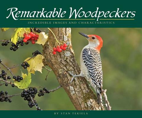 Remarkable Woodpeckers: Incredible Images and Characteristics (Wildlife Appreciation)