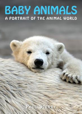 Baby Animals (A Portrait of the Animal World)