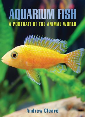 Aquarium Fish (Portrait of the Animal World)