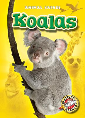 Koalas (Blastoff! Readers: Animal Safari)