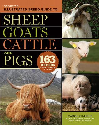 Image for Storey's Illustrated Breed Guide to Sheep, Goats, Cattle and Pigs