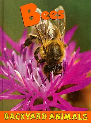 Image for Bees (Backyard Animals)
