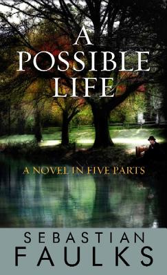 Image for A Possible Life: A Novel in Five Parts