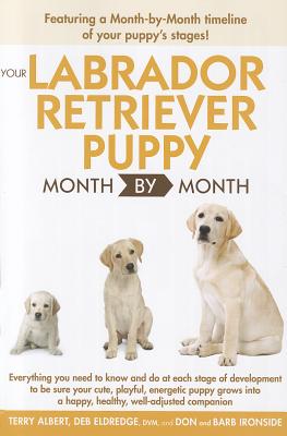Image for Your Labrador Retriever Puppy Month By Month