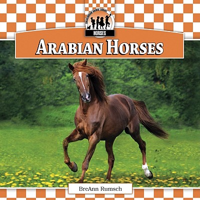 Arabian Horses