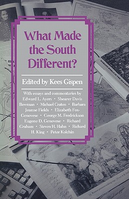 What Made the South Different