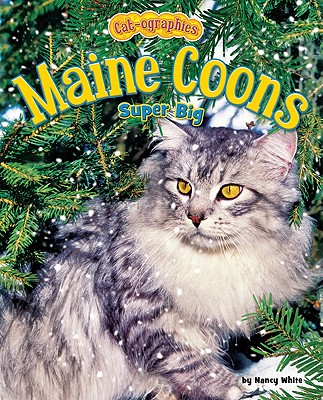 Maine Coons: Super Big (Cat-Ographies)