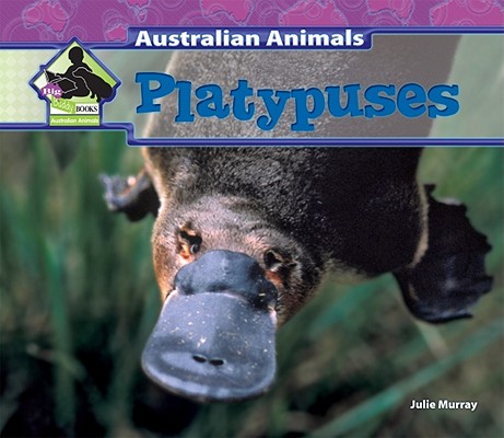 Platypuses (Australian Animals) Image for Platypuses (Australian Animals)