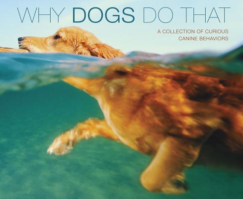Image for Why Dogs Do That (Deluxe Edition) Why Dogs Do That (Deluxe Edition)