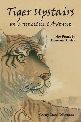 Tiger Upstairs on Connecticut Avenue