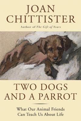 Two Dogs and a Parrot What Our Animal Friends Can Teach Us about Life