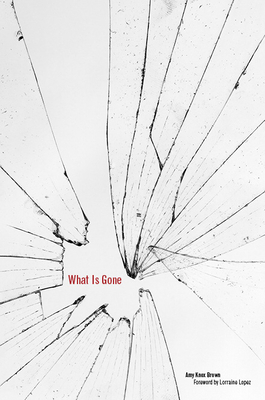 What Is Gone (Women, Gender, and the West)