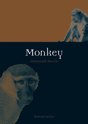 Monkey (Animal)
