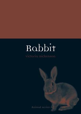 Rabbit (Animal)