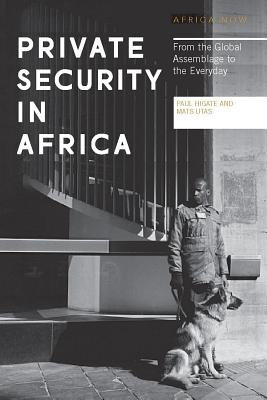Private Security in Africa: From the Global Assemblage to the Everyday (Africa Now)