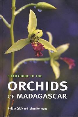 Image for Field Guide To The Orchids Of Madagascar