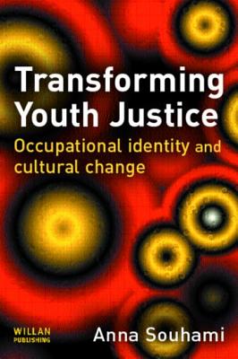 Transforming Youth Justice (Crime Ethnography S)