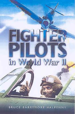 Image for Fighter Pilots In World War II