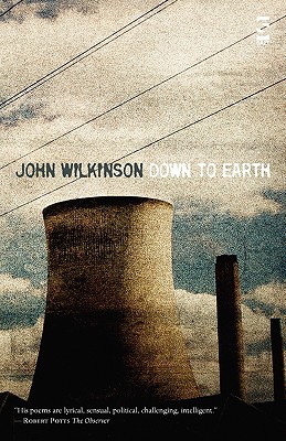 Down to Earth (Salt Modern Poets)