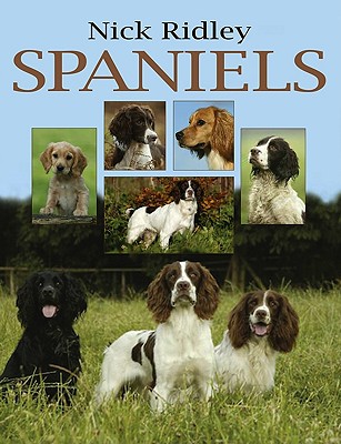 Spaniels