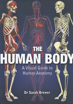 The Human Body: A Visual Guide to Human Anatomy