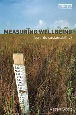 Measuring Wellbeing: Towards Sustainability