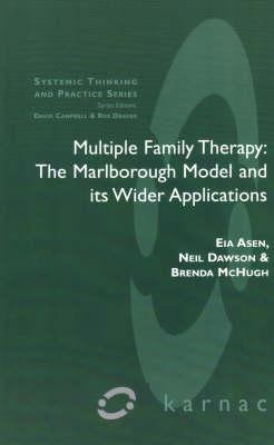 Multiple Family Therapy: The Marlborough Model and Its Wider Applications (The Systemic Thinking and Practice Series)