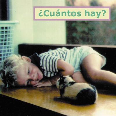 Cuntos hay (How Many -- Spanish edition)