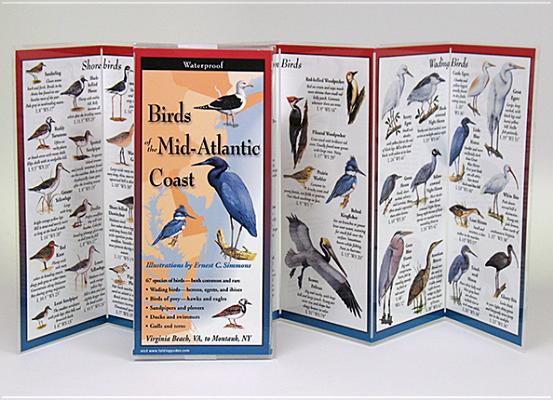 Birds of the Mid-Atlantic Coast: Folding Guide (Foldingguides)