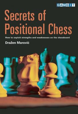 Image for Secrets of Positional Chess
