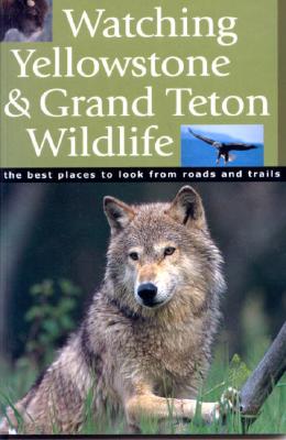 Watching Yellowstone & Grand Teton Wildlife: The Best Places to Look from Roads and Trails