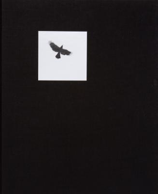 Graciela Iturbide: Pajaros