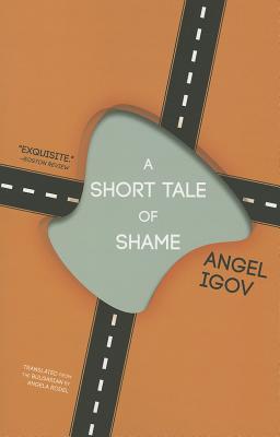 A Short Tale of Shame Image for A Short Tale of Shame