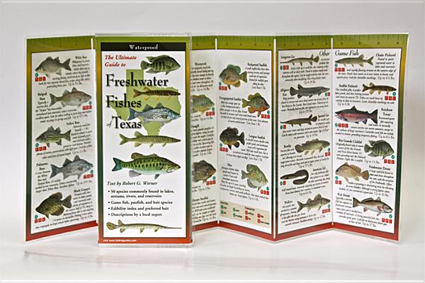 Image for Freshwater Fishes of Texas: Folding Guide (Foldingguides)