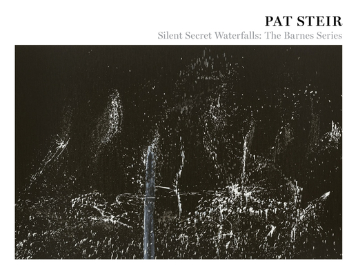 Pat Steir: Silent Secret Waterfalls: The Barnes Series