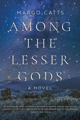Image for Among the Lesser Gods: A Novel