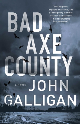 Bad Axe County: A Novel (1) (A Bad Axe County Novel)