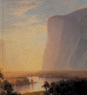 Image for Expanding Horizons: Painting and Photography of American and Canadian Landscape 1860-1980