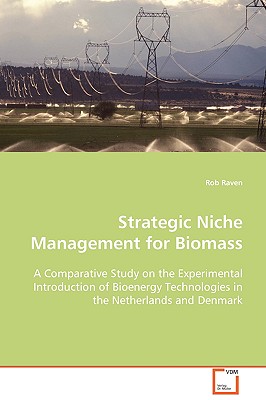 Strategic Niche Management for Biomass: A Comparative Study on the Experimental Introductionof Bioenergy Technologies in the Netherlands and Denmark (Eindhoven Centre for Innovation Studies)