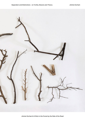 Jimmie Durham: A Stick in the Forest by the Side of the Road