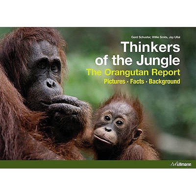 THINKERS OF THE JUNGLE: THE ORANGUTAN REPORT - PICTURES, FACTS, BACKGROUND