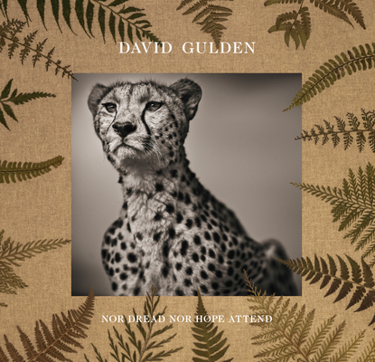 David Gulden: Nor Dread Nor Hope Attend: Photographs from the Plains of Africa